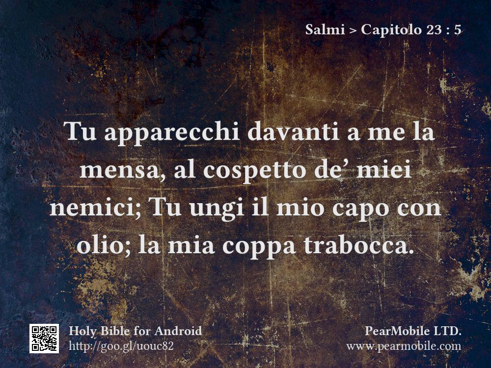 Salmi, Capitolo 23:5
